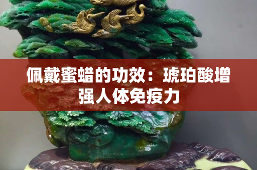 佩戴蜜蠟的功效：琥珀酸增強人體免疫力