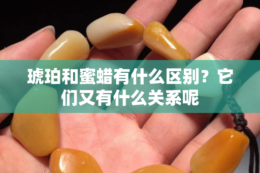 琥珀和蜜蠟有什么區別？它們又有什么關系呢
