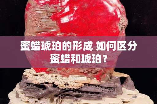 蜜蠟琥珀的形成 如何區分蜜蠟和琥珀？