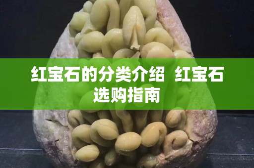 紅寶石的分類介紹  紅寶石選購指南