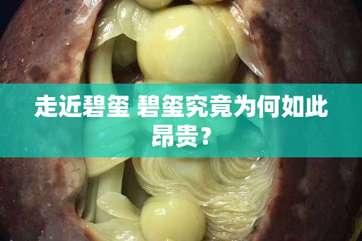 走近碧璽 碧璽究竟為何如此昂貴？