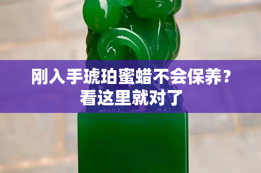 剛?cè)胧昼昝巯灢粫ｐB(yǎng)？看這里就對了