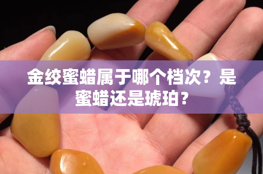 金絞蜜蠟屬于哪個檔次？是蜜蠟還是琥珀？