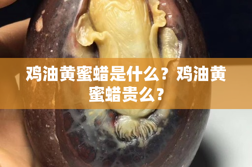 雞油黃蜜蠟是什么？雞油黃蜜蠟貴么？
