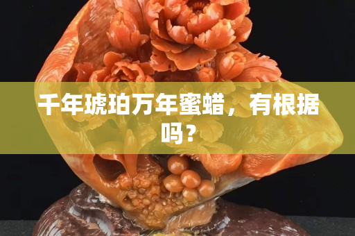 千年琥珀萬年蜜蠟，有根據嗎？