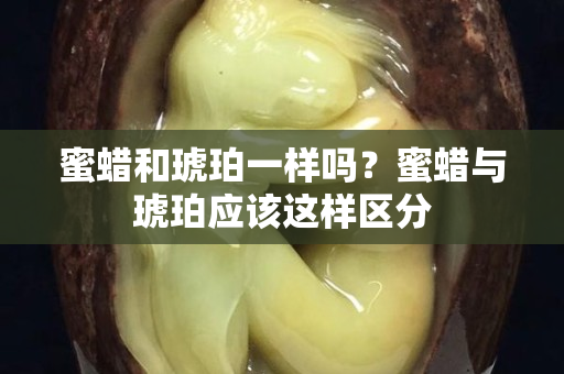 蜜蠟和琥珀一樣嗎？蜜蠟與琥珀應該這樣區(qū)分