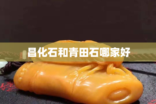 昌化石和青田石哪家好