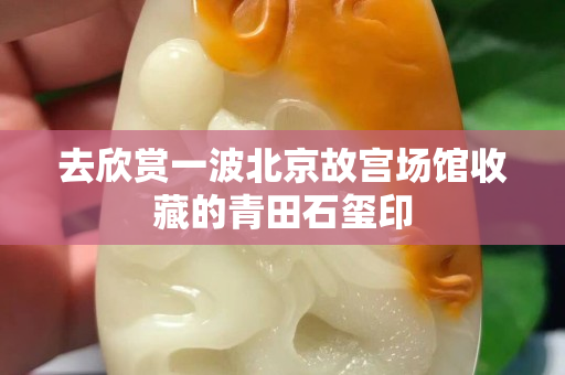 去欣賞一波北京故宮場館收藏的青田石璽印
