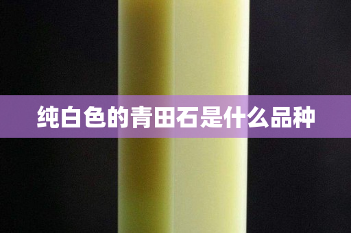 純白色的青田石是什么品種