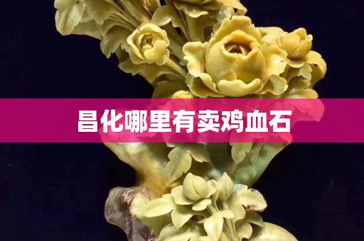 昌化哪里有賣雞血石