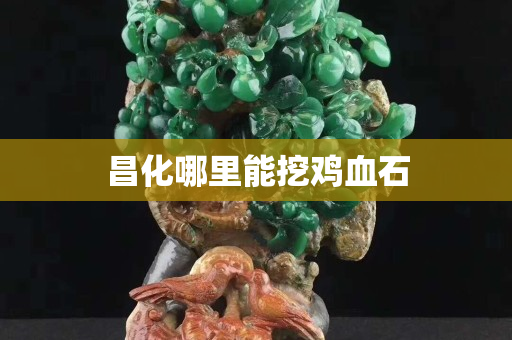 昌化哪里能挖雞血石