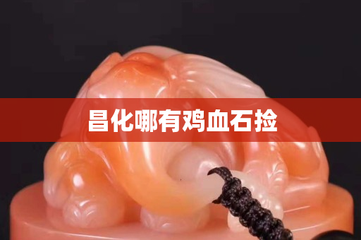 昌化哪有雞血石撿