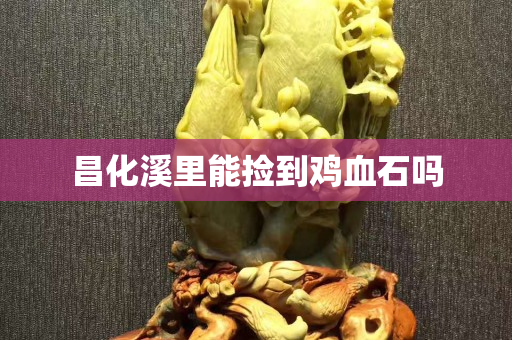 昌化溪里能撿到雞血石嗎