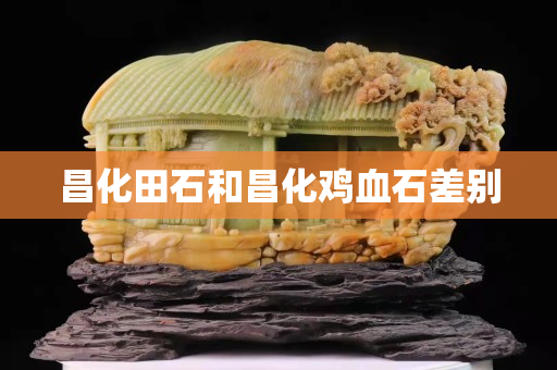 昌化田石和昌化雞血石差別