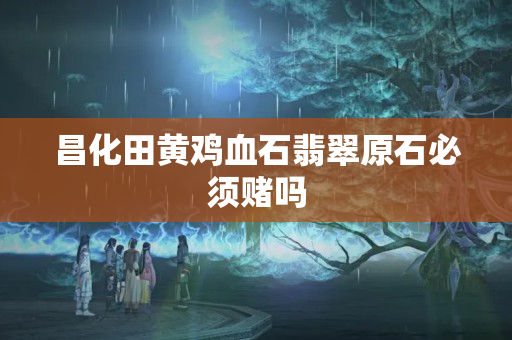 昌化田黃雞血石翡翠原石必須賭嗎