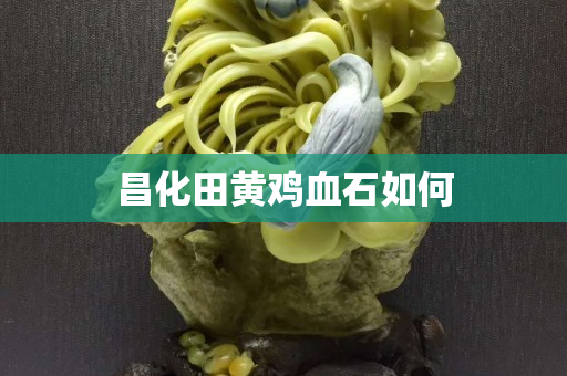 昌化田黃雞血石如何