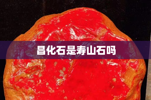 昌化石是壽山石嗎