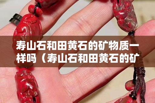 壽山石和田黃石的礦物質一樣嗎（壽山石和田黃石的礦物質一樣嗎）