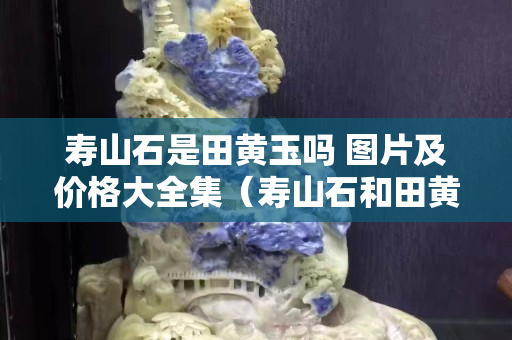壽山石是田黃玉嗎 圖片及價格大全集（壽山石和田黃的區別是什么）