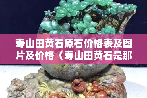 壽山田黃石原石價格表及圖片及價格（壽山田黃石是那個地方）