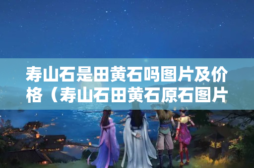 壽山石是田黃石嗎圖片及價格（壽山石田黃石原石圖片）