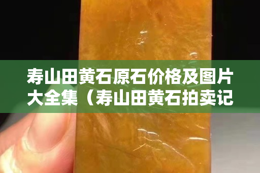 壽山田黃石原石價(jià)格及圖片大全集（壽山田黃石拍賣記錄）