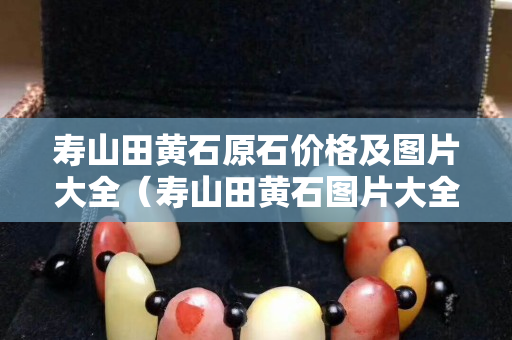 壽山田黃石原石價格及圖片大全（壽山田黃石圖片大全 真品）