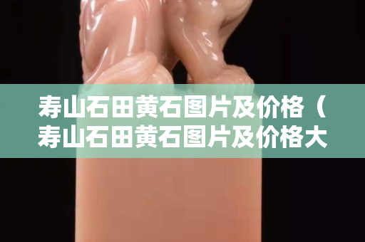 壽山石田黃石圖片及價格（壽山石田黃石圖片及價格大全）