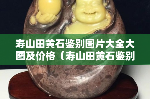 壽山田黃石鑒別圖片大全大圖及價格（壽山田黃石鑒別圖片大全大圖及價格表）