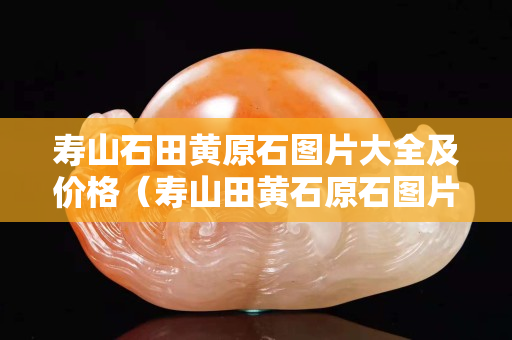 壽山石田黃原石圖片大全及價格（壽山田黃石原石圖片剛出土的田黃）