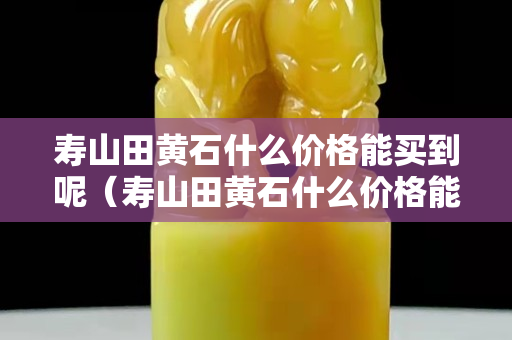 壽山田黃石什么價格能買到呢（壽山田黃石什么價格能買到呢）