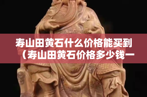 壽山田黃石什么價格能買到（壽山田黃石價格多少錢一克）