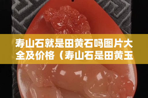 壽山石就是田黃石嗎圖片大全及價格（壽山石是田黃玉嗎 圖片及價格）