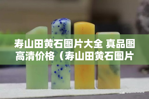 壽山田黃石圖片大全 真品圖高清價格（壽山田黃石圖片大全 真品圖高清價格表）
