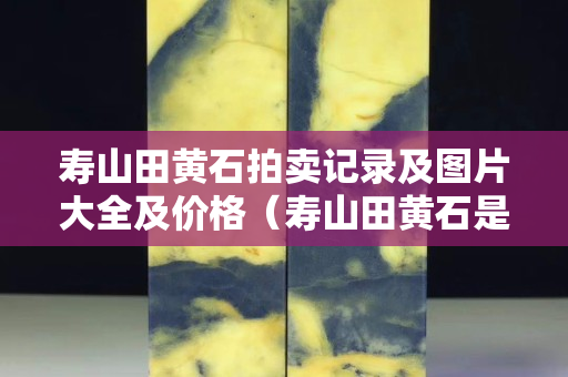 壽山田黃石拍賣記錄及圖片大全及價格（壽山田黃石是那個地方）