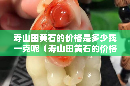 壽山田黃石的價格是多少錢一克呢（壽山田黃石的價格是多少錢一克呢）