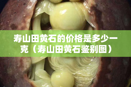壽山田黃石的價格是多少一克（壽山田黃石鑒別圖）