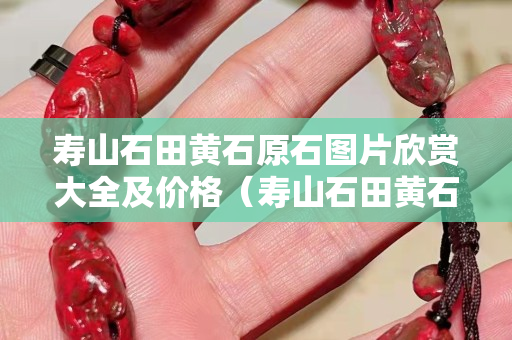 壽山石田黃石原石圖片欣賞大全及價格（壽山石田黃石價格 鑒定）