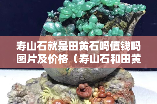 壽山石就是田黃石嗎值錢嗎圖片及價格（壽山石和田黃石價格相差大嗎）