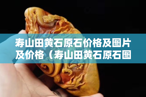 壽山田黃石原石價(jià)格及圖片及價(jià)格（壽山田黃石原石圖片剛出土的田黃）