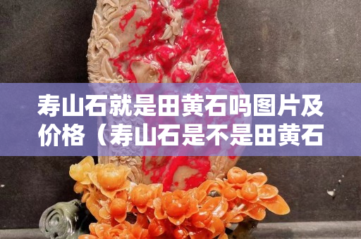 壽山石就是田黃石嗎圖片及價(jià)格（壽山石是不是田黃石）