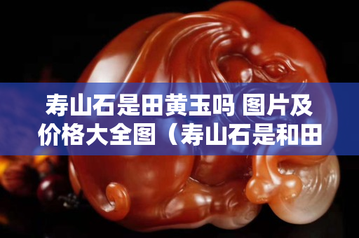 壽山石是田黃玉嗎 圖片及價格大全圖（壽山石是和田玉嗎）