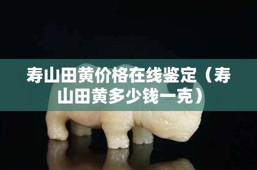 壽山田黃價格在線鑒定（壽山田黃多少錢一克）