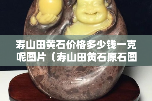 壽山田黃石價格多少錢一克呢圖片（壽山田黃石原石圖片剛出土的田黃）