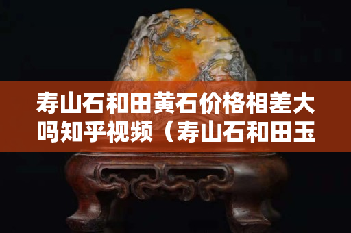 壽山石和田黃石價(jià)格相差大嗎知乎視頻（壽山石和田玉哪種貴）