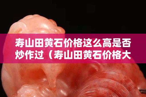 壽山田黃石價格這么高是否炒作過（壽山田黃石價格大幅下跌）