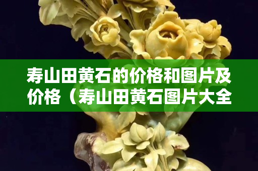 壽山田黃石的價格和圖片及價格（壽山田黃石圖片大全 真品）
