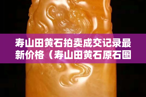 壽山田黃石拍賣成交記錄最新價格（壽山田黃石原石圖片）