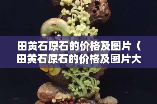 田黃石原石的價格及圖片（田黃石原石的價格及圖片大全）