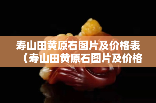 壽山田黃原石圖片及價(jià)格表（壽山田黃原石圖片及價(jià)格表大全）